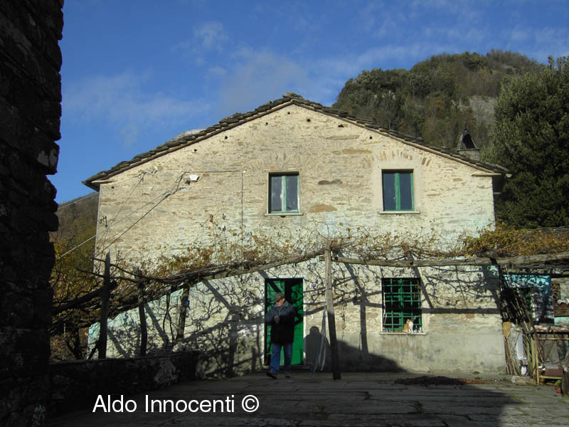 PIASTROLA: 2' IMMAGINE